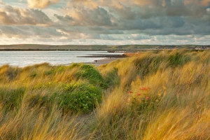 Sun Set Prints: View of sand dunes, beach and coastline at sunset