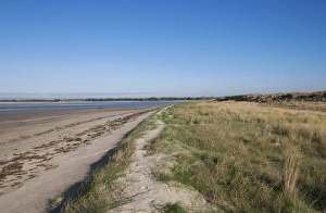Sandy Prints: View of sand dunes and beach habitat