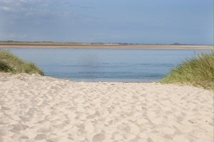 Sands Prints: View of sand dunes and coastline, Budle Bay, Northumberland, England, august