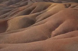 View of sand dunes comprising of different coloured sands, caused by decomposed basalt gullies of ferralitic soil, red colour caused by iron sesquioxydes and blue colour caused by aluminium sesquioxydes, Seven Coloured Earths, Chamarel