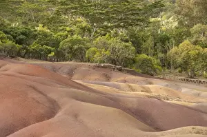 View of sand dunes comprising of different coloured sands, caused by decomposed basalt gullies of ferralitic soil, red colour caused by iron sesquioxydes and blue colour caused by aluminium sesquioxydes, Seven Coloured Earths, Chamarel