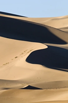 View of sand dunes in desert habitat, Khongoryn Els Sand Dunes, Southern Gobi Desert, Mongolia, october