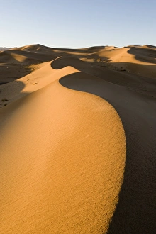 View of sand dunes in desert habitat, Khongoryn Els Sand Dunes, Southern Gobi Desert, Mongolia, october