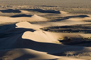 View of sand dunes in desert habitat, Khongoryn Els Sand Dunes, Southern Gobi Desert, Mongolia, october