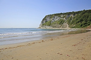 Chalk Prints: View of sandy beach and chalk sea cliffs