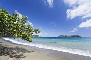 Lesser Antilles Prints: View of sandy beach, looking towards Little Tobago