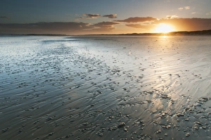 Sandy Prints: View of sandy beach during low tide at sunset, Camber Sands, East Sussex, England, June