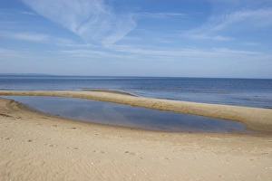 View of sandy beach and sea, Bay of Laholm, Halland County, Sweden, may