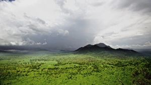 Grasslands Prints: View of savannah habitat, Tsavo West N. P. Kenya, December