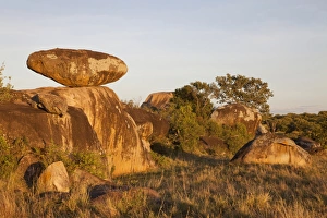 Serengeti Prints: View of savannah with kopje rock formations in dawn sunlight