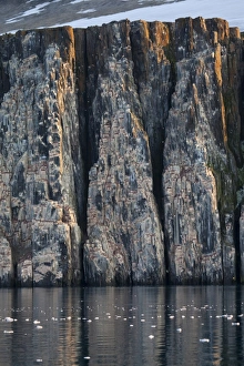 View of sea cliff, seabird nesting colony habitat, Alkefjellet, Spitsbergen, Svalbard, august