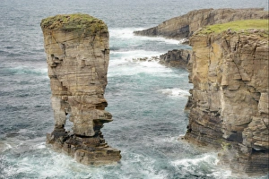 View of sea cliffs and offshore stack, Yesnaby Castle, Yesnaby, Mainland, Orkney, Scotland, june