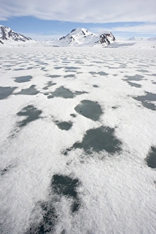 North Polar Prints: View of sea ice and snow covered coastal mountains, Spitsbergen, Svalbard, late spring