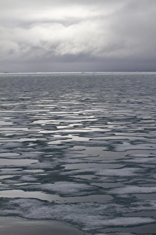North Polar Prints: View of sea ice, Spitzbergen, Svalbard, july