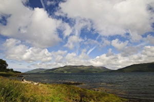 View of sea loch, Loch Scridain, Isle of Mull, Inner Hebrides, Scotland, August