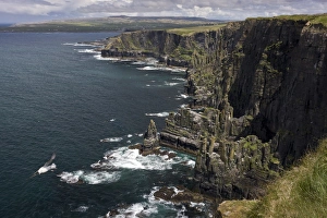 Site Prints: View of sea stacks and cliffs with seabird colonies