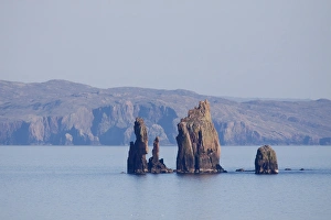 Stacks Prints: View of sea stacks, The Drongs, Mainland, Shetland Islands, Scotland, May