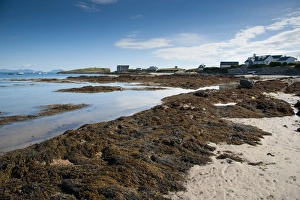 View of seaweed on beach and coastline, Borthwen, Cymyran Bay, Anglesey, North Wales, august