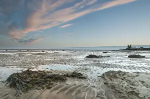 Ruined Prints: View of seaweed on beach at low tide
