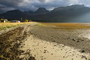 Northern Europe Prints: View of seaweed on beach at low tide
