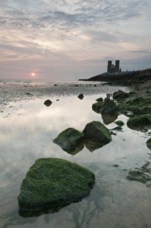 Ruined Prints: View of seaweed covered rocks beach at low tide