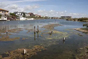 Shallows Prints: View of shallow saline lagoon habitat situated on coastal marshland formed by sediments deposited by River Adur