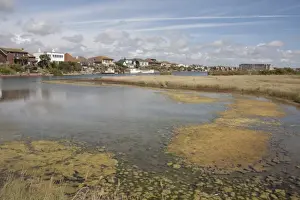 View of shallow saline lagoon habitat situated on coastal marshland formed by sediments deposited by River Adur