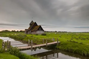 Flood Prints: View of sheep on grazing marsh with footbridge across flooded ditch and church in evening