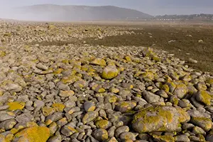 Breaches Prints: View of shingle bank spreading inland as sea levels rise