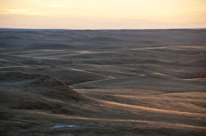 View of shortgrass prairie habitat, East Bloc, Grasslands N. P. Southern Saskatchewan, Canada, october