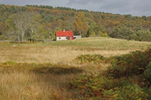 Cottages Prints: View of small cottage at edge of woodland habitat