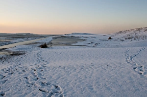 Wintery Prints: View of snow covered beach, Salthouse, Norfolk, England, december