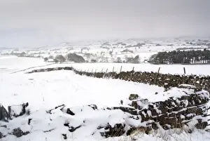 Stone Prints: View of snow covered drystone walls and farmland during snowstorm, Cumbria, England, March
