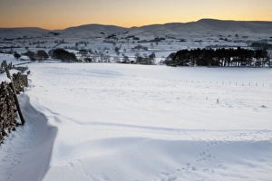 Climate Prints: View of snow covered farmland in evening