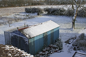 Roofs Prints: View of snow covered garage and rural garden, Suffolk, England, november