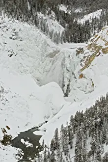 Yellowstone Prints: View of snow covered habitat with river and freezing waterfall