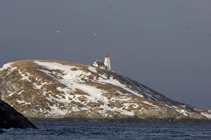 Light Houses Prints: View of snow covered island with lighthouse
