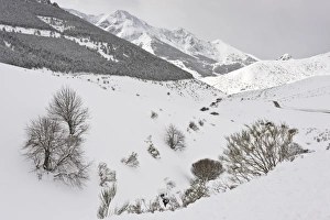 Iberia Prints: View of snow covered mountain habitat