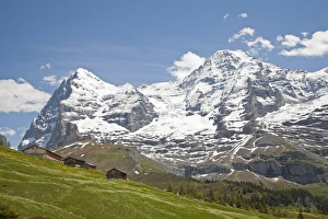Peak Prints: View of snow covered mountain peak