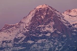View of snow covered mountain summit at sunset, North Face, Eiger, Swiss Alps, Bernese Oberland, Switzerland, may