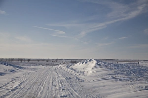 Midwest Prints: View of snow covered rural road, Dickey County, North Dakota, U. S. A. january