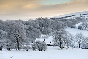 Climate Prints: View of snow covered trees in countryside