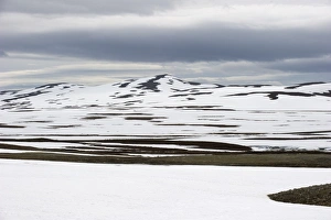 Tundra Prints: View of snow covered tundra habitat in summer, Stekenjokk, Lappland, Sweden, June