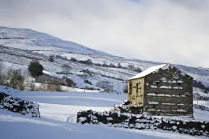 Swaledale Prints: View of snow covered upland farmland with stone barn and drystone walls