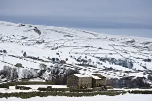 Wintery Prints: View of snow covered upland farmland with stone barns and drystone walls