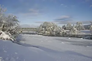 Track Prints: View of snow on ice covered river