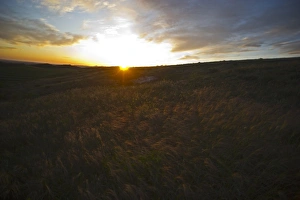 Steppes Prints: View over steppe habitat at sunset, near Lleida, Catalonia, Spain, may