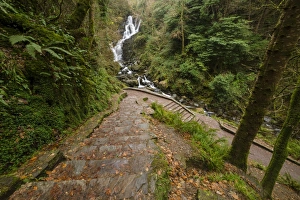View of steps leading uphill from waterfall, Torc Waterfall, Owengarriff River, Killarney N. P
