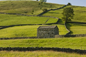 Muker Prints: View of stone barn and drystone walls