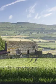 Wensleydale Prints: View of stone barn, drystone walls and pasture in valley bottom